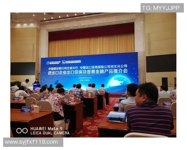 王汝恒：探索科技与人文交融的创新之路，助力未来发展新篇章