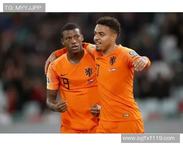 荷兰与北爱尔兰足球对决全面分析战术特点与球队状态